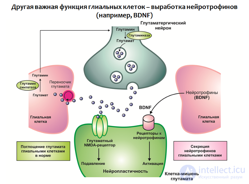 Depression: Causes, Diagnosis, Prevention and Treatment; Depression in Neurology and Neurosurgery, and During Pregnancy, Childbirth, and Menopause
