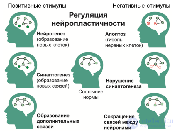 Depression: Causes, Diagnosis, Prevention and Treatment; Depression in Neurology and Neurosurgery, and During Pregnancy, Childbirth, and Menopause
