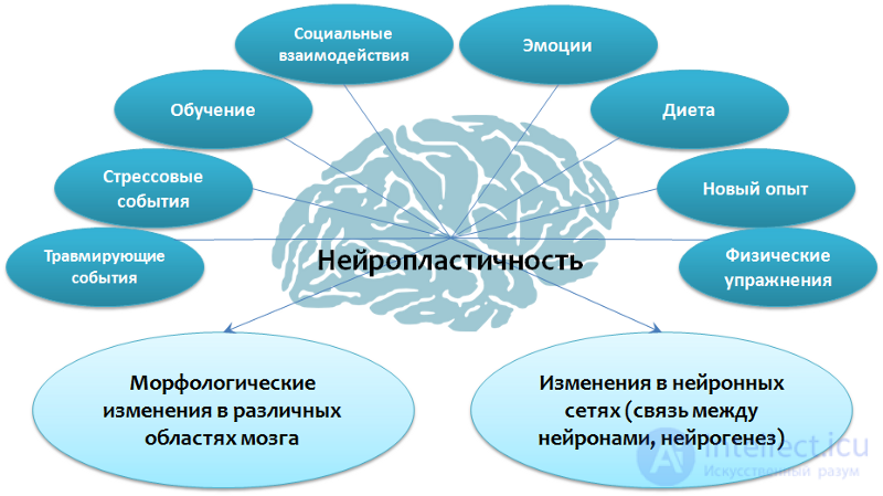 Depression: Causes, Diagnosis, Prevention and Treatment; Depression in Neurology and Neurosurgery, and During Pregnancy, Childbirth, and Menopause