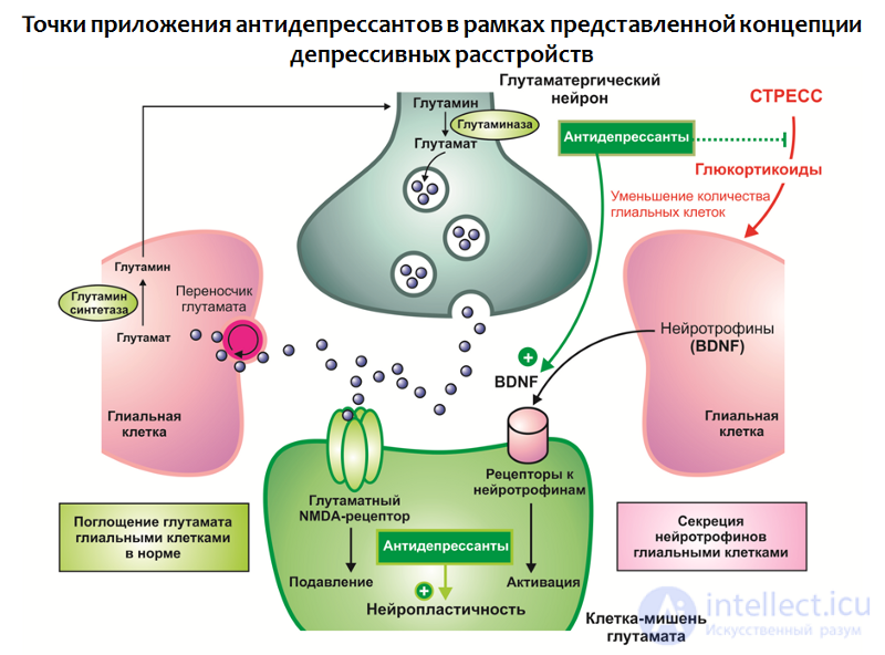 Depression: Causes, Diagnosis, Prevention and Treatment; Depression in Neurology and Neurosurgery, and During Pregnancy, Childbirth, and Menopause