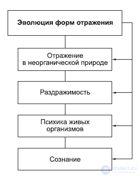 Chapter 3. Philosophical Anthropology: The Human Being in Philosophy