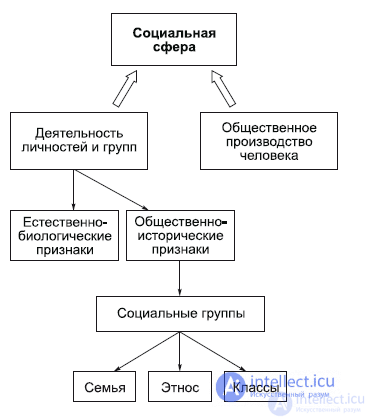 7. The Social Sphere: Society and Classes