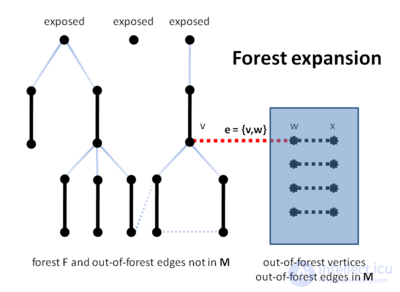 The blossom algorithm: cutting and contracting blossoms