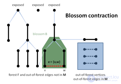 The blossom algorithm: cutting and contracting blossoms