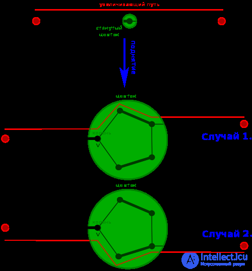 The blossom algorithm: cutting and contracting blossoms