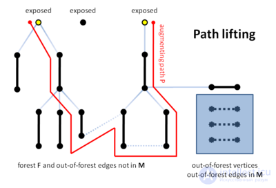 The blossom algorithm: cutting and contracting blossoms
