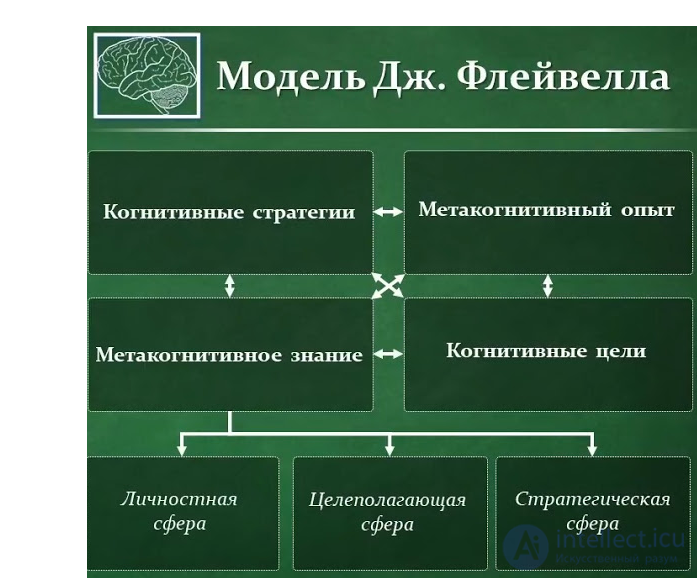 Metacognitive processes distortions and therapy, metacognition