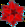 Figures and Solids of Four-Dimensional Space: Duoprism, Duocylinder, Hypersphere, Hypercone, Hypercube