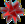 Figures and Solids of Four-Dimensional Space: Duoprism, Duocylinder, Hypersphere, Hypercone, Hypercube