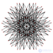Figures and Solids of Four-Dimensional Space: Duoprism, Duocylinder, Hypersphere, Hypercone, Hypercube