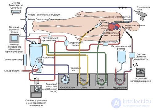 Equipment for circulatory support, artificial heart