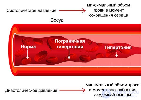 2.3. Indicators of Cardiovascular System Activity, Muscular System Activity, Eye Reactions