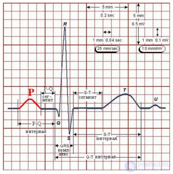 2.3. Indicators of Cardiovascular System Activity, Muscular System Activity, Eye Reactions