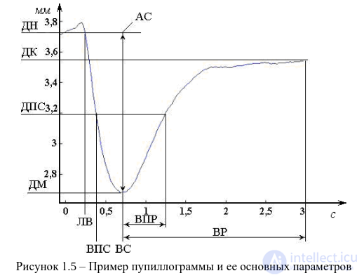2.3. Indicators of Cardiovascular System Activity, Muscular System Activity, Eye Reactions
