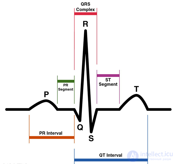 2.3. Indicators of Cardiovascular System Activity, Muscular System Activity, Eye Reactions
