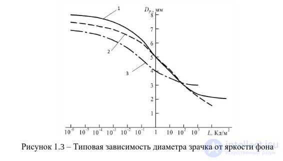 2.3. Indicators of Cardiovascular System Activity, Muscular System Activity, Eye Reactions