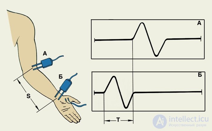 2.3. Indicators of Cardiovascular System Activity, Muscular System Activity, Eye Reactions