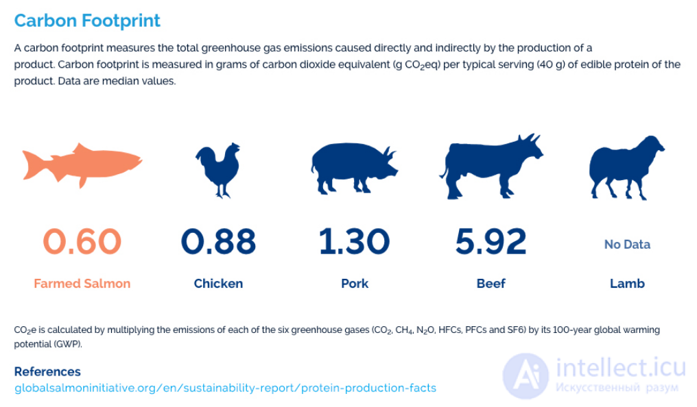 Ecological and Carbon Footprint