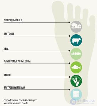 Ecological and Carbon Footprint