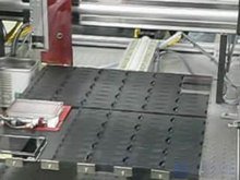 Protein Microarray and DNA Microarray