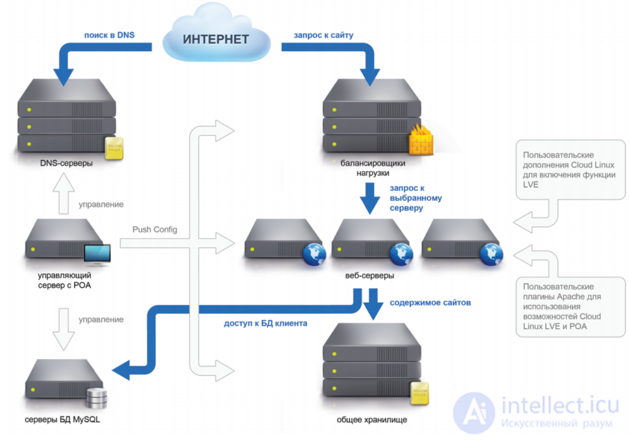 Hosting: The Network Infrastructure Serving a Website, Types of Hosting