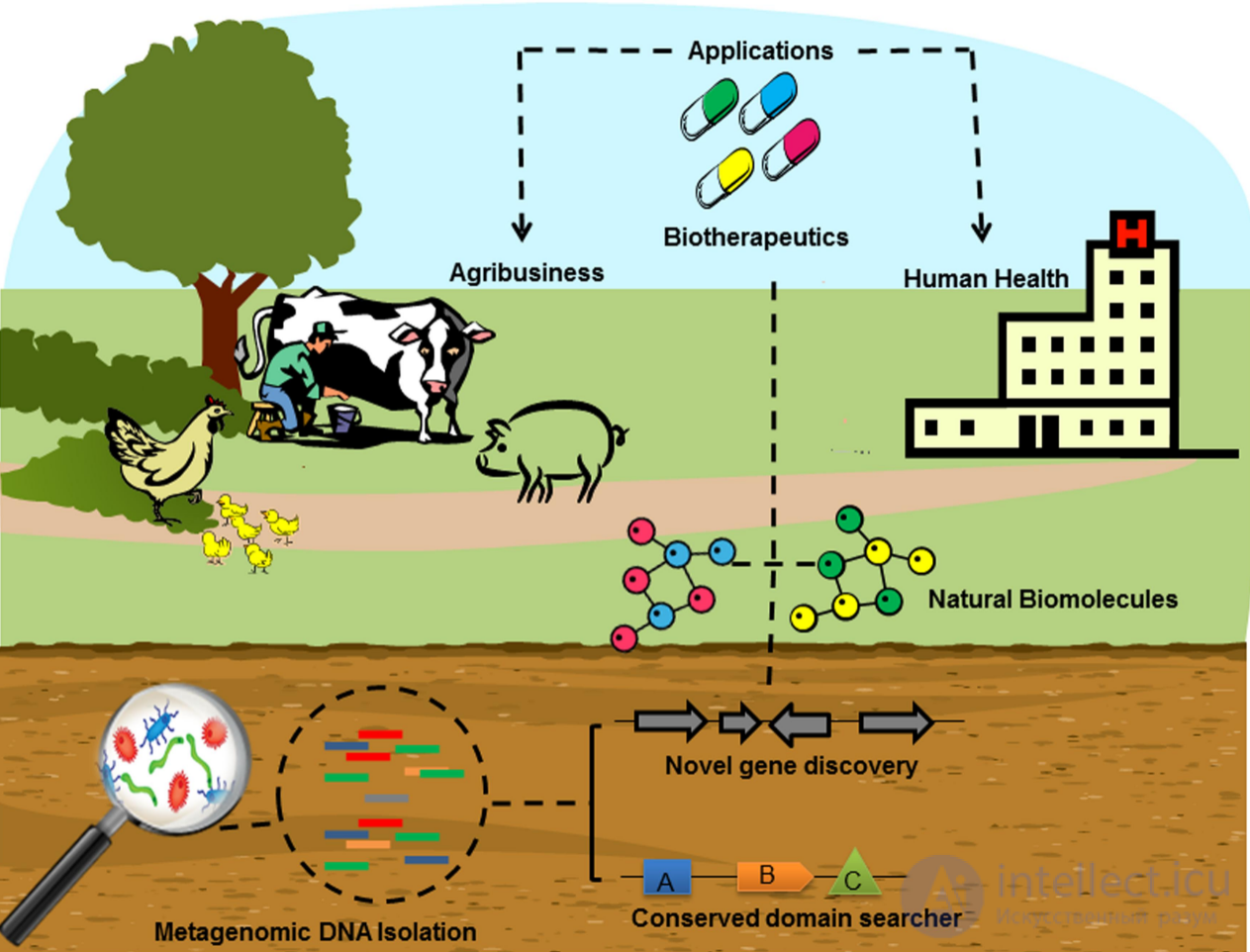 The Ecology of Viruses