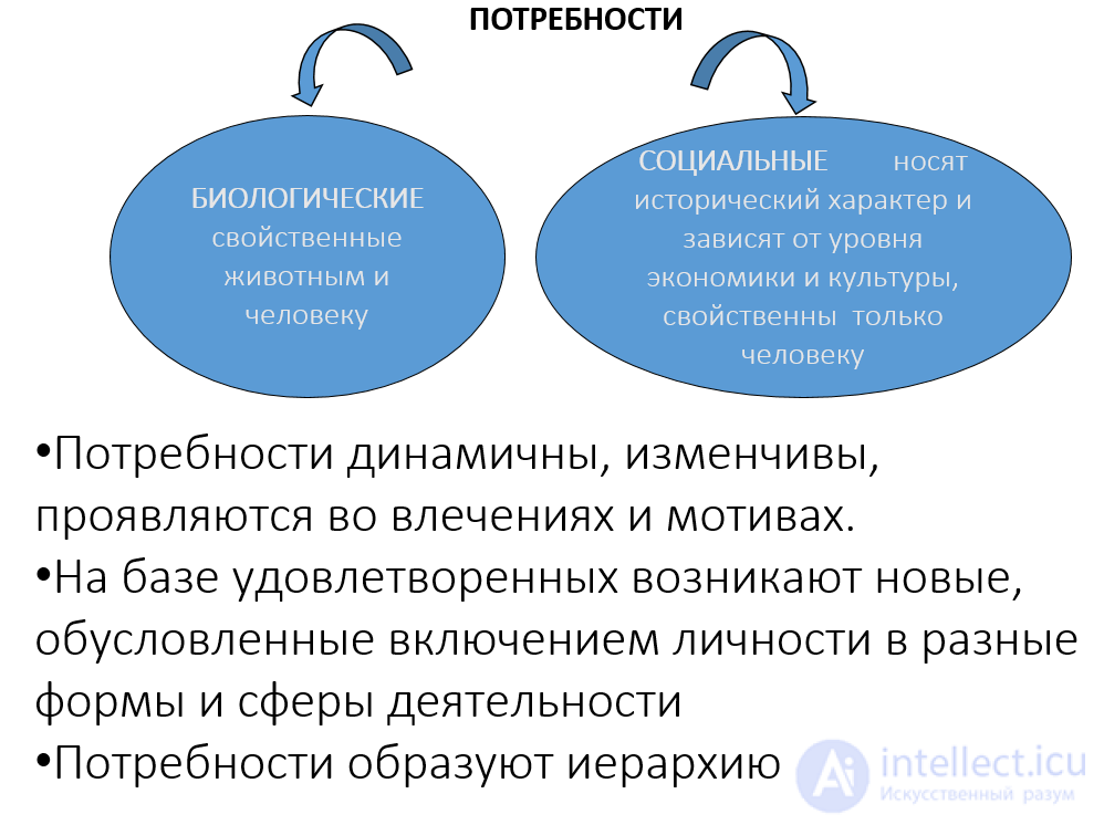 The Need-Motivational Sphere of Personality