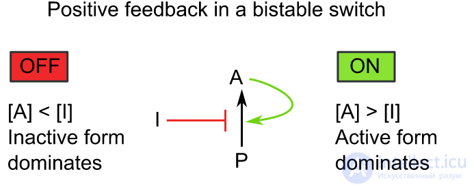 Negative and Positive Feedback in Electronics and Living Systems