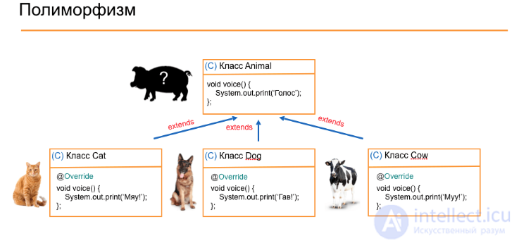 Inheritance and Polymorphism in OOP: Inner and Nested Classes, Friend Functions and Classes