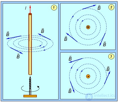 6. The magnetic field in vacuum