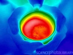 1. The Ideal Gas: Equation of State and Kinetic Theory