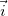 Kinematics (Abstraction, Displacement, Velocity, Acceleration), Rotation of a Rigid Body, Projectile Motion at an Angle to the Horizontal