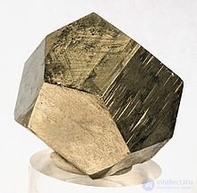 The Pentagonal Dodecahedron