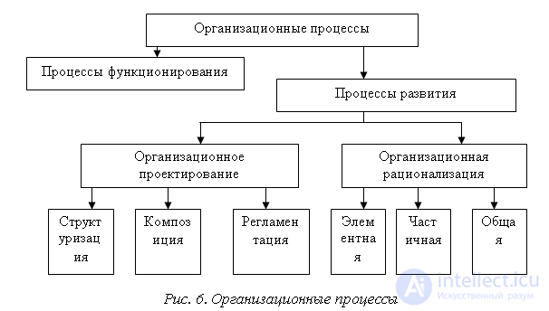 Organisational Processes in the Management System