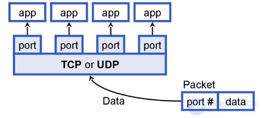 Lesson 12. Implementing the Client-Server Model in Java