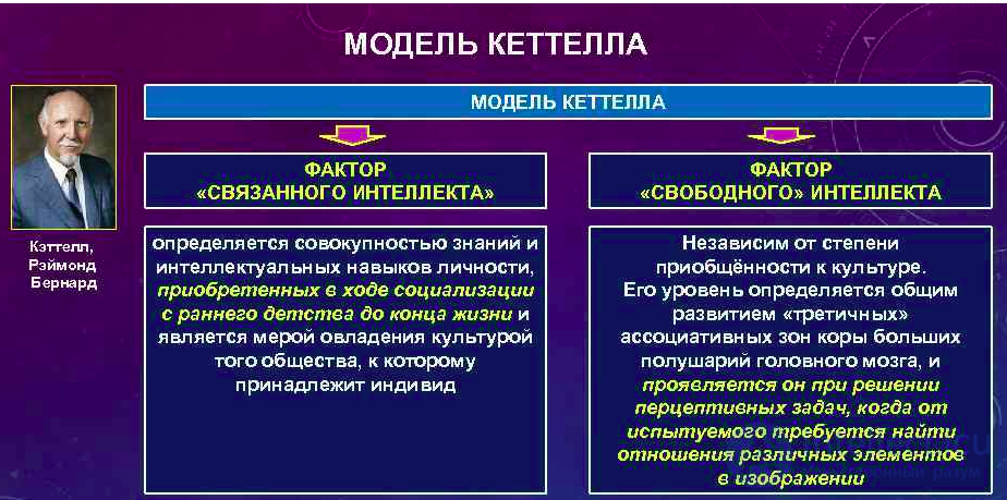 Intelligence - Concept and Essence: Theoretical and Experimental Approaches to the Study of Thinking, Its Distinction from Thinking, the g-Factor