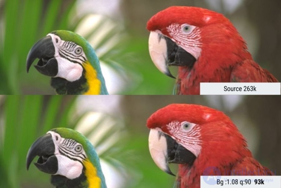 Optimising graphics for the web