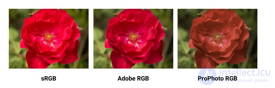 Optimising graphics for the web