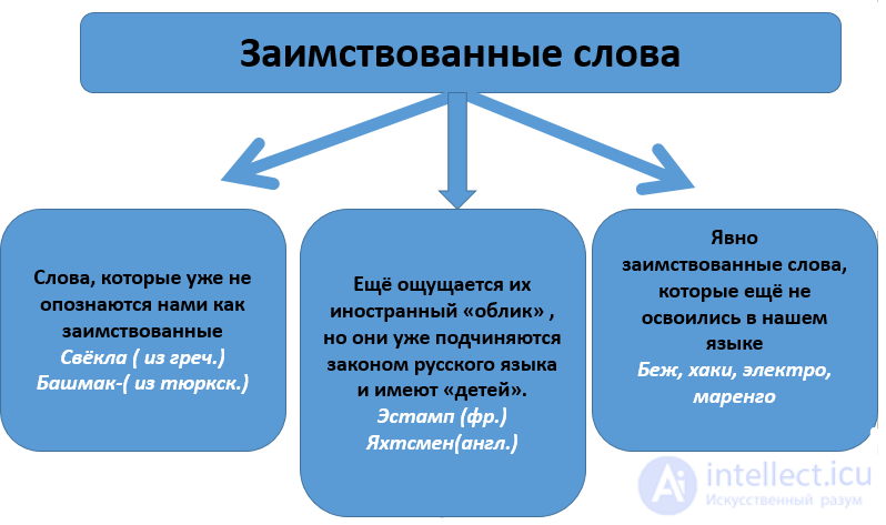 Borrowing in Linguistics and Translation Theory