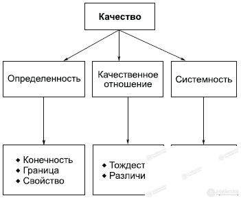 2.4. Quality and Quantity in Dialectics