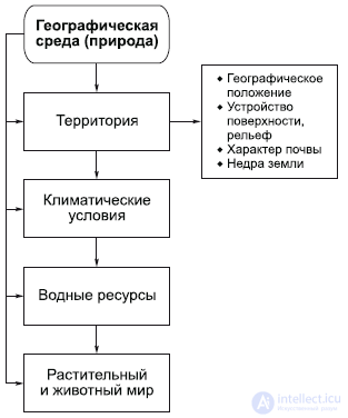 5. The Specificity of Social Reality and Its Cognition: Nature and Society