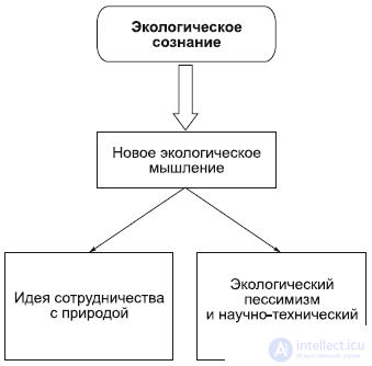 5. The Specificity of Social Reality and Its Cognition: Nature and Society