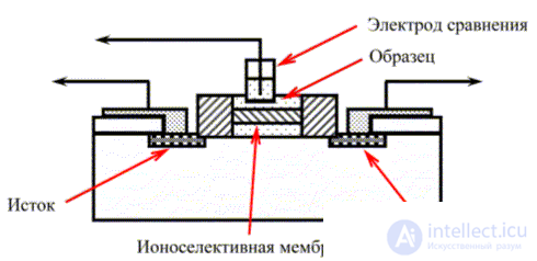 Portable digital  gas sensors. electrochemical analog sensitive elements