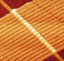 Memristor: Theory and Implementation of the Fourth Passive Electrical Element