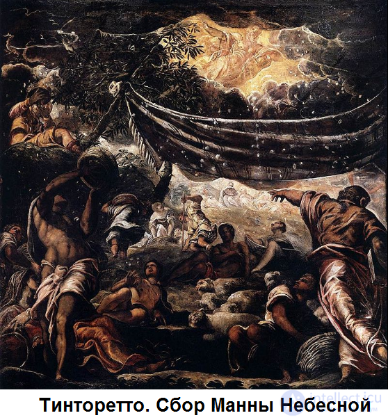 Religious studies tests with answers and diagrams: the pre-religious era and the emergence of religion