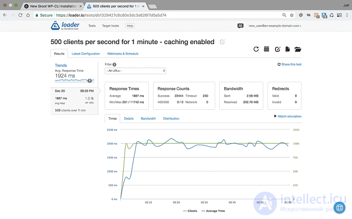 Web Application Performance Optimization