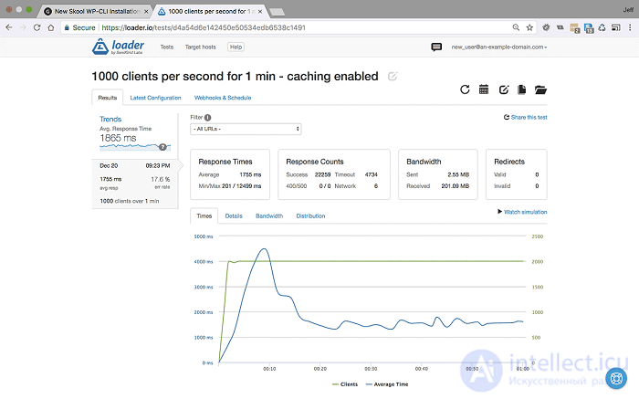Web Application Performance Optimization