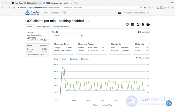 Web Application Performance Optimization