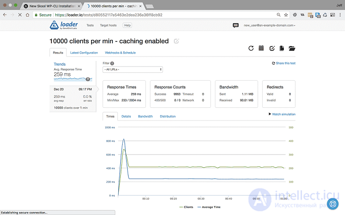 Web Application Performance Optimization