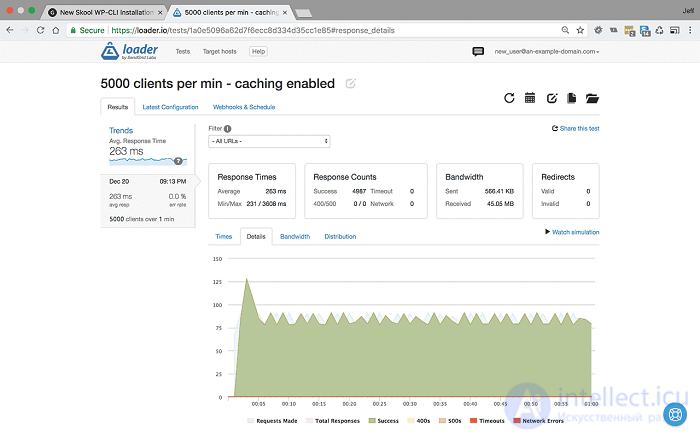 Web Application Performance Optimization